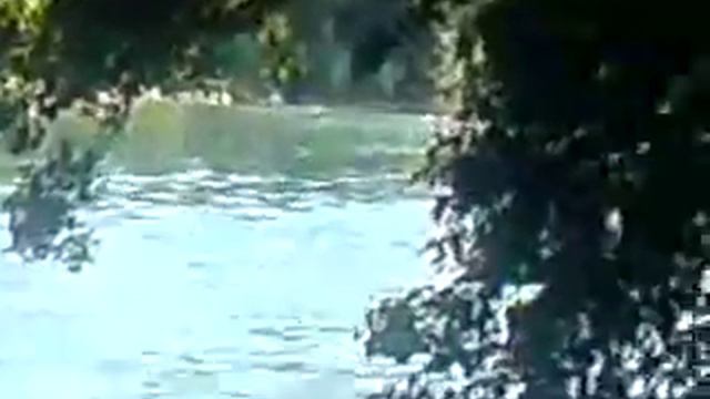 yamaha 25 смотреть онлайн