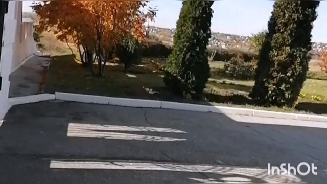 Поездка в Арское. смотреть онлайн