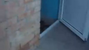 Видео душ в лагере
