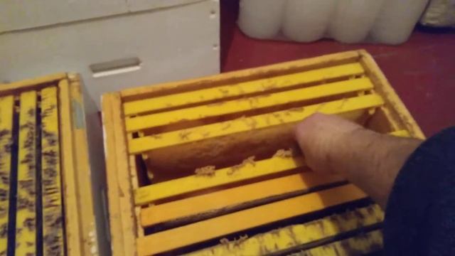 Вся правда об ульях из ппу и пластиковой вощине. Часть первая. смотреть онлайн