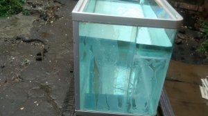 Ремонт треснутого стекла в панорамном аквариуме. Результат ремонта, запуск.