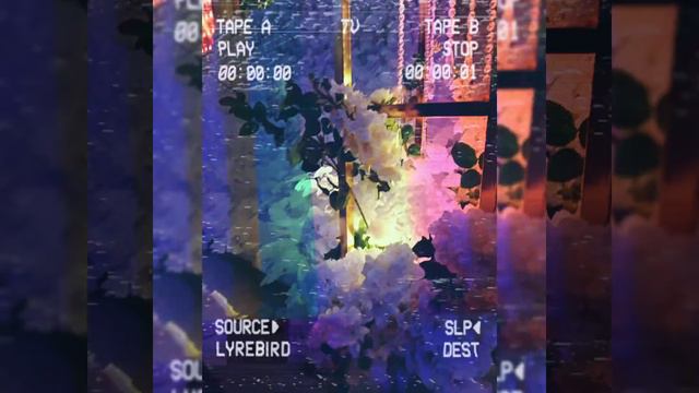 Она Моя Мания (slow rmx) смотреть онлайн