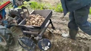 Работа мотоблока МТЗ 05 и картофелесажалки ВРМЗ
