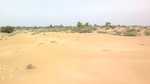 Mini Pajero Off Road vs suzuki jimny