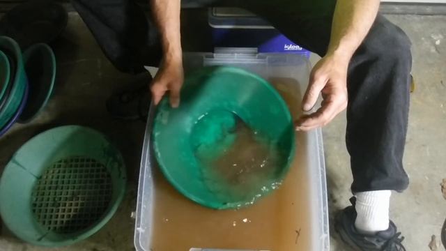 Paydirt! смотреть онлайн