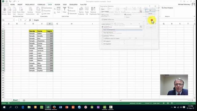 Descriptive statistics Excel