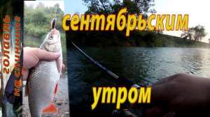 Ловля ГОЛАВЛЯ на спиннинг в сентябре.  Рыбалка на реке.