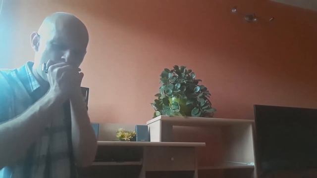 Ognia daj lampie mej HARMONIJKA Seydel 1847 Silver (D) смотреть онлайн