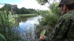 Карась на поплавок в сентябре. И главная причина измельчания рыбыБез названия.mp4