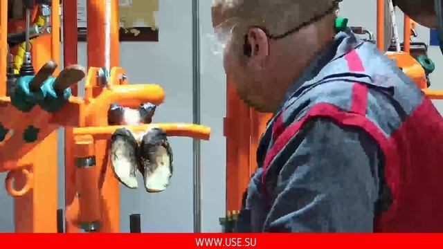 Обрезка копыт у коров