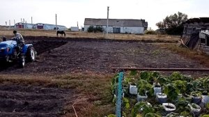 Минитрактор Русич т-21 с плугом 2-25см