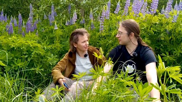Заросли люпинов и ответы на вопросы. Часть первая.