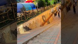 ?️Варзоб - горы, реки и свежий воздух ? Varzob Tajikistan ??دره ورزآب