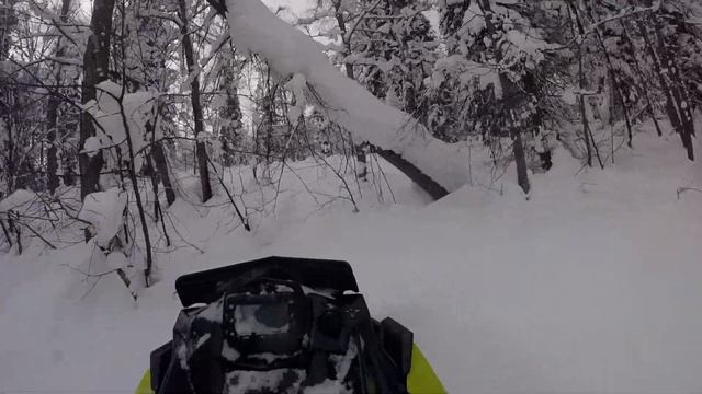 бедярыш 2020 рвем пухляк смотреть онлайн