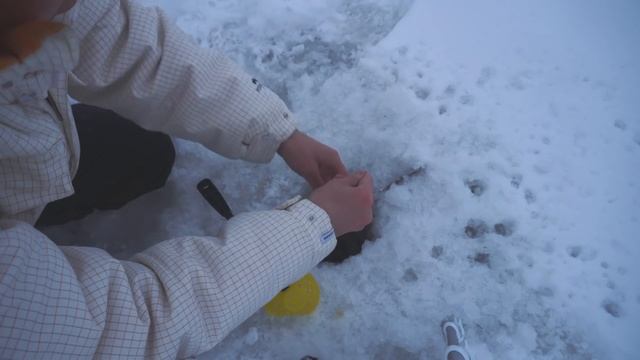 Ловля леща в глухозимье. Секретная прикормка выручает. Лещ держится у прикормленных лунок всегда.