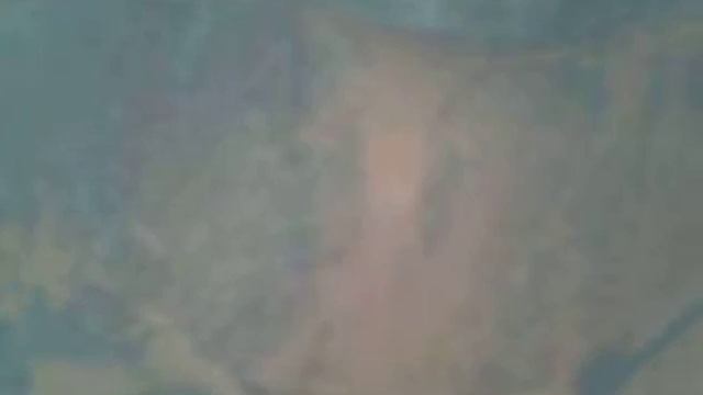 Видео инспекция ду 100 (лежак на азк)