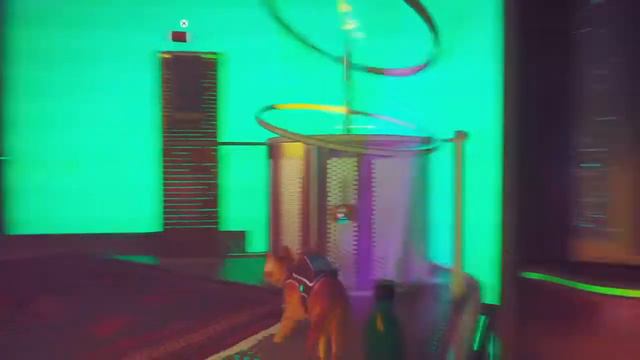 Stray - Хитрый Кот смотреть онлайн