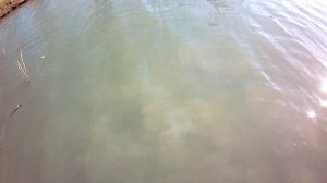 XP Deus2?Дэус2???по воде 2 часть/коп как есть/#Deus#Деус