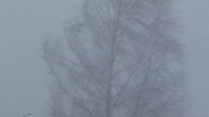 снежная буря