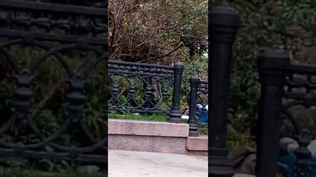 Сруль смотреть онлайн