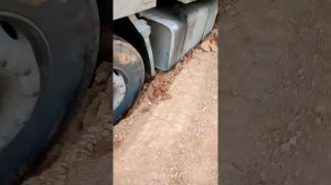 Водитель зерновоза