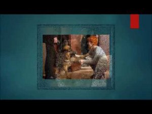 УМЕР ГРАФ  ШУТЦ ХУНД