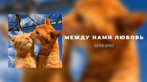 SEREBRO - Между нами любовь || speed up