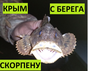 Крымская рыбалка с берега. Ночная скорпена (Морской ерш)