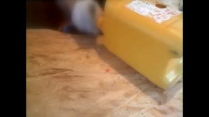 электрический самодельный удлинитель из канистры .