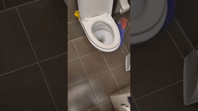 Унитазы у нас есть, вода горячая бежит #Россия #влогикаждыйдень