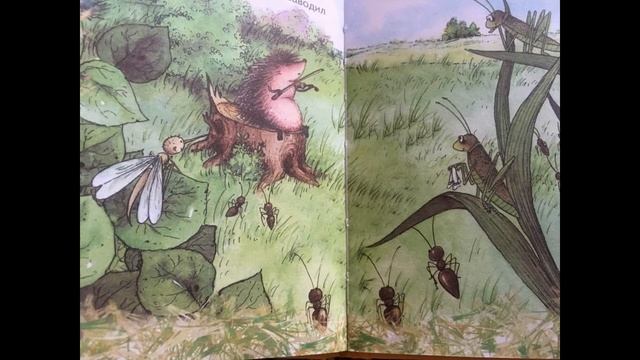 (АУДИО)Ёжикина скрипка - Козлов С.Г. Читает Коляскина Н.Г. смотреть онлайн