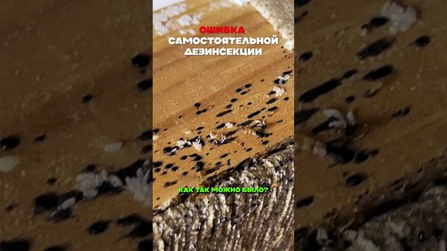 Ошибка самостоятельной дезинфекции