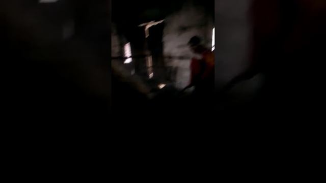 Уход за телятами сезон 2