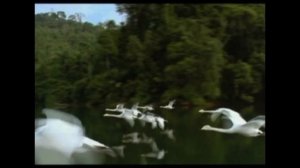 Harout Pamboukchyan - Krunkner