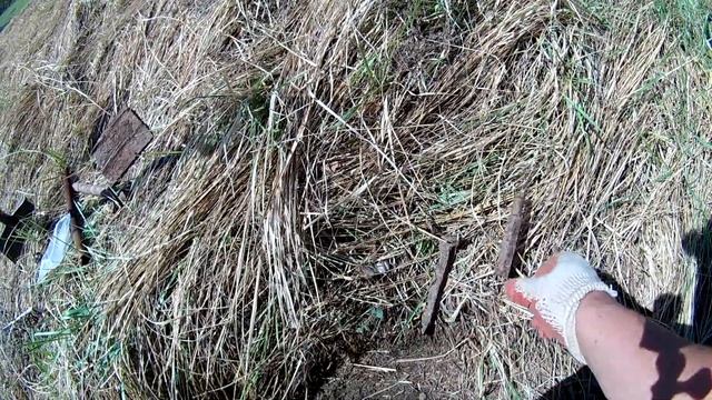 Тест сравнение ACE 400i и TX-850. Что лучше в поиске монет и металла? смотреть онлайн