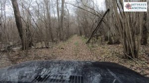 SUZUKI JIMNY и НИВА как два брата. Японский Самурай и русский Богатырь преодолевают бездорожье.