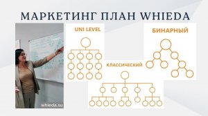 Маркетинг план МЛМ компании Whieda за 15 минут