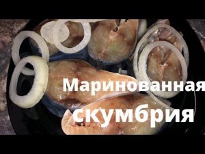 Всего два часа! Маринованная скумбрия