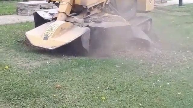 Подготовка к восстановлению газона смотреть онлайн