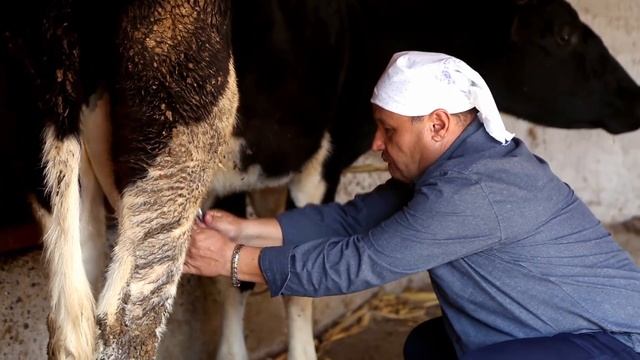 Qalpoq - Ko'zaning quli yohud Farmongul (hajviy ko'rsatuv) смотреть онлайн