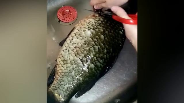 Как очистить рыбу от чешуи без ножа? Легко и быстро!