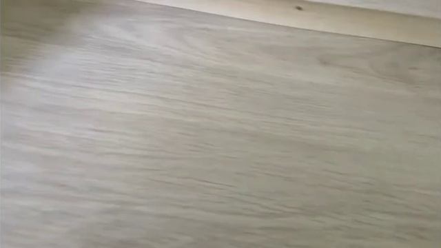 Кормим Риччика