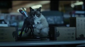 Кот стреляет из пулемета  Очень смешно !!!.mp4