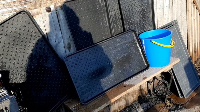 Антиалкогольная компания в огороде. Какой поддон выбрать для рассады. смотреть онлайн