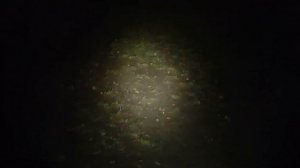 Обзор Sofirn SP31 V2.0 - народный фонарь с LH351D и стабилизацией