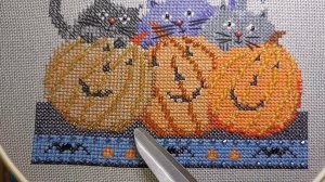 Тыквин День. Успешный подбор.