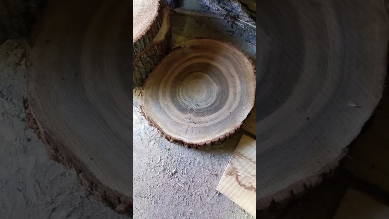 дуб для вашего неповторимого интерьера смотреть онлайн