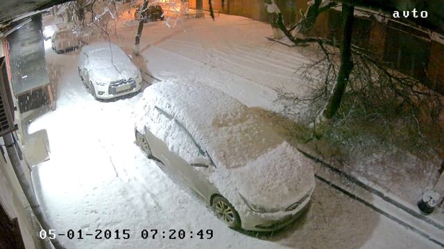 снегом сломало дерево