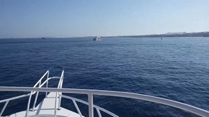 Рас-Мохаммед золотая бухта Прогулка на яхте. Египет. Цены. Впечатления.