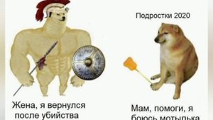 чимс и доге мемы